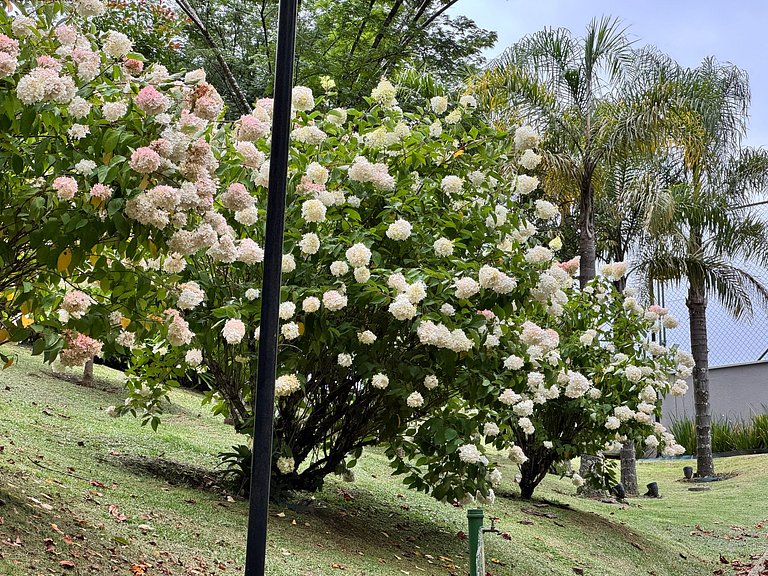 Premier Flat Capivari