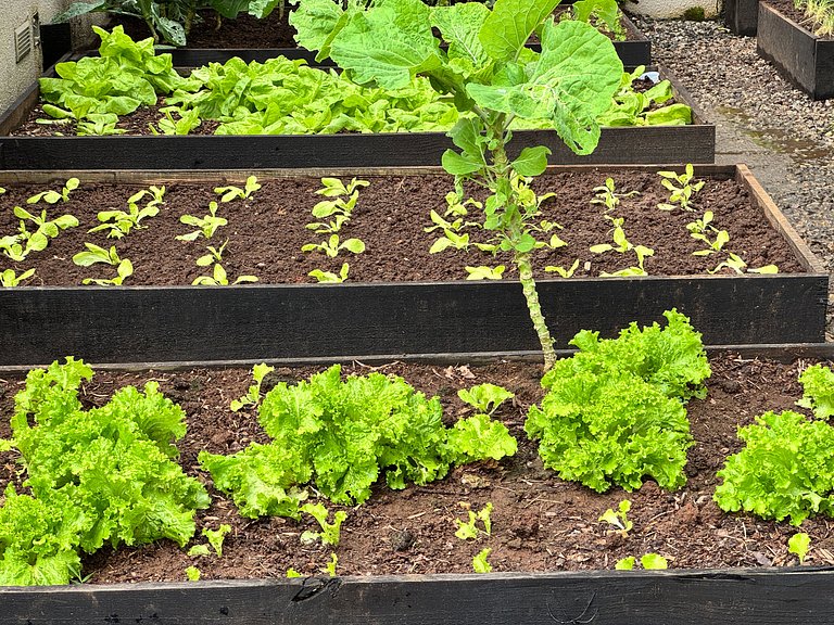 Premier Flat Capivari