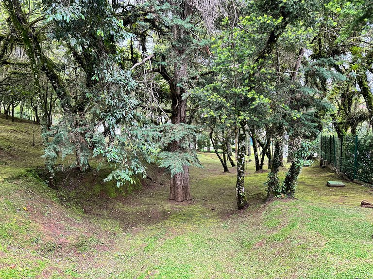 Premier Flat Capivari