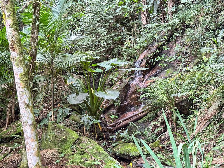 Casa Portal da Mantiqueira